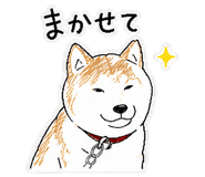 840775661
