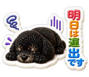 840775861