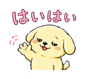 840776008