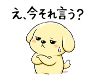 840776010