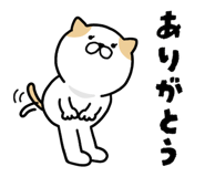 840776056