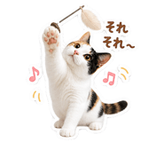 840776141