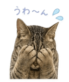 840776183