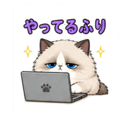 840776813