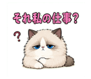 840776816