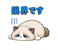 840776822