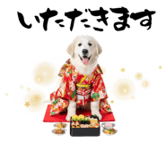 840777137