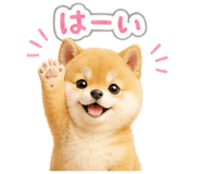 840777190