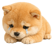 840777223