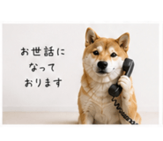 840777519