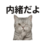 840777699