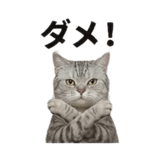 840777700