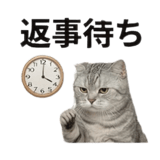 840777704