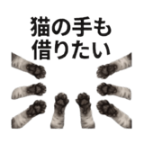 840777716
