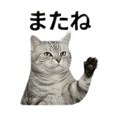 840777726