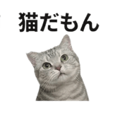 840777735