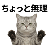 840777736
