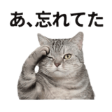 840778147