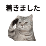 840778155