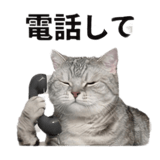 840778163