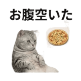 840778169