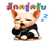 840778492