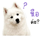 840778620