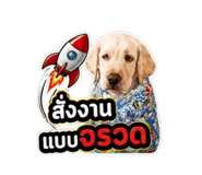 840779251