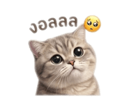 840779444