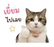 840779552