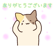 840780114