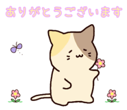 840780119