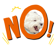 840780247