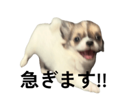 840780406