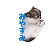 840780408