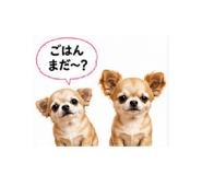 840780572