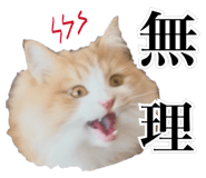 840781425