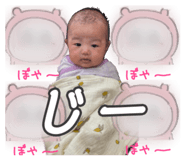 840781558