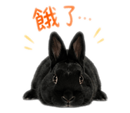 840784671