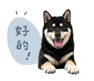 840784842