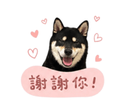 840784843