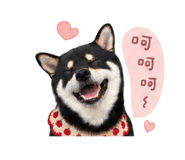 840784844