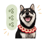840784847