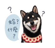 840784848