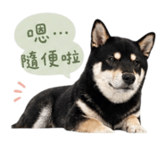 840784854