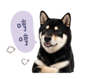 840784855