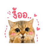 840787140