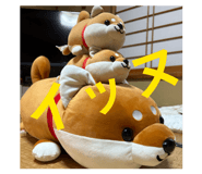 840788365