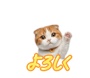 840788461