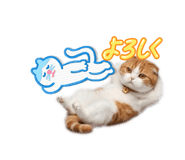 840788464